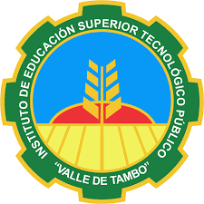 Valle de Tambo - Virtual